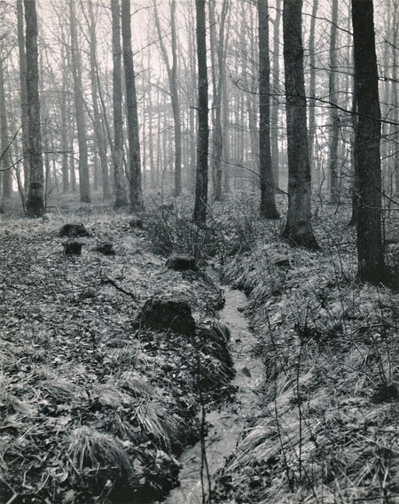 Gunnar Lundh forêt photo argentique époque cachet  dos années 50 riviere Suède