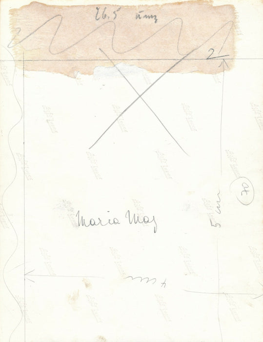 Motif décoratif de Maria MAY (1900-1968), designer textile photo photographie