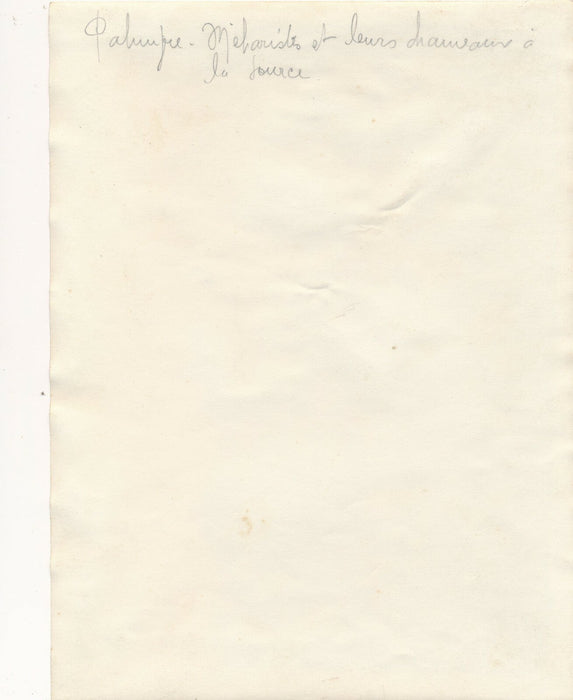 Palmyre Syrie tirage époque v. 1927-1929 photo photographie chameaux