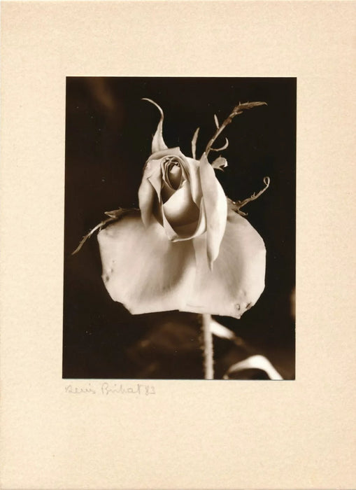 Denis BRIHAT Tirage argentique d’époque avec envoi autographe signé