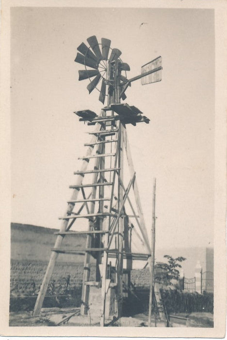 bel ensemble Homs Syrie 14 photos photographie amateur époque v. 1920 habitants