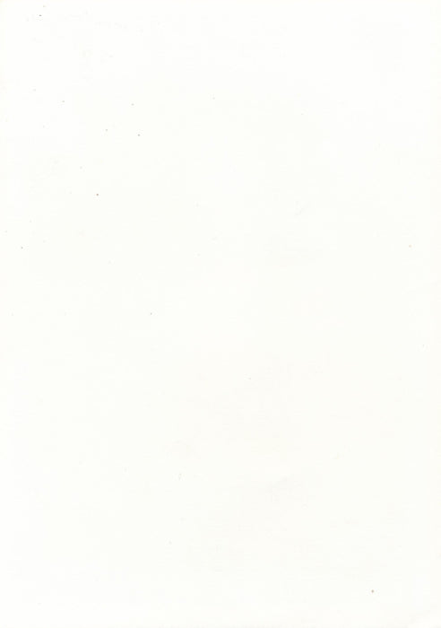 Anonyme Nature morte coquetier photo photographie époque années 1970