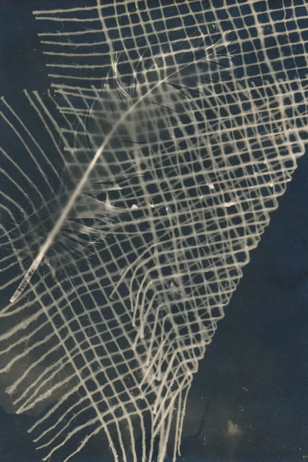 La Plume photomontage photo photographie époque v. 1940