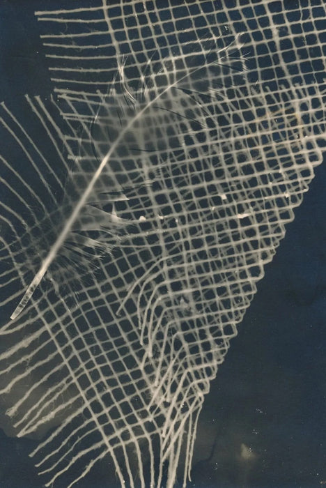 La Plume photomontage photo photographie époque v. 1940