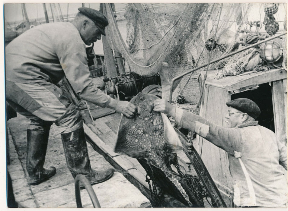 photographie v. 1950 photographe Georges Bracher
