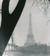 photographie 1950 vintage 