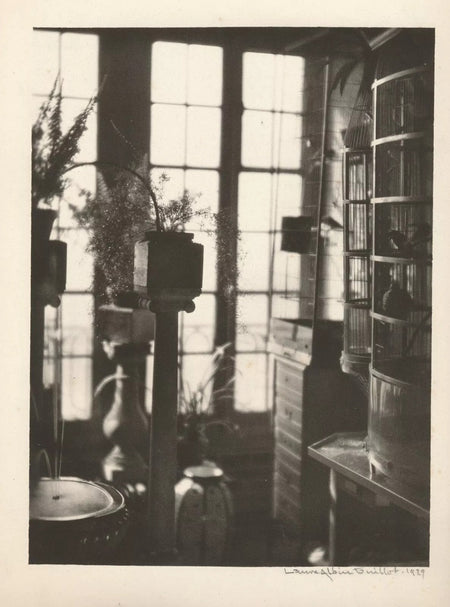 Laure ALBIN GUILLOT tirage au charbon signé photo photographie intérieur