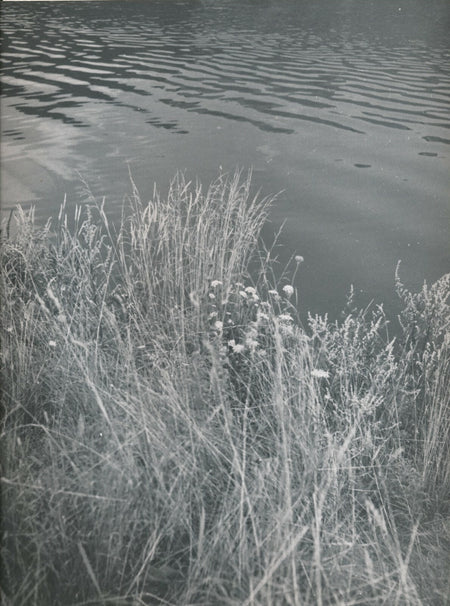 herbes eau fleuve photo photographie tirage argentique campagne