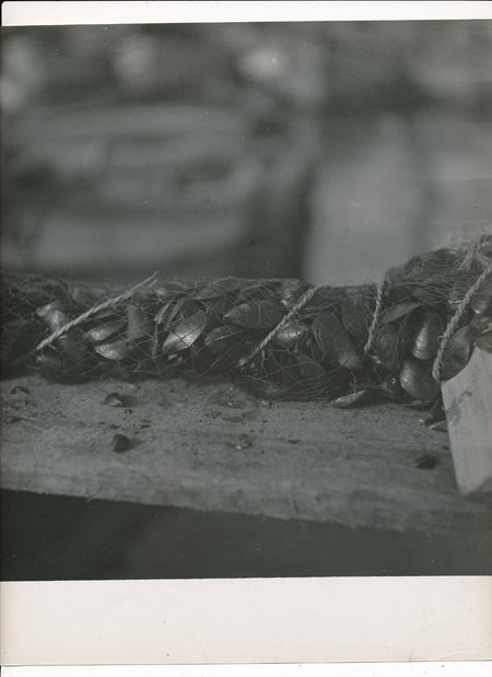  tirage argentique époque