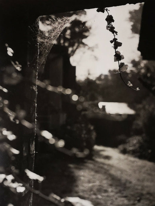  (1909-2003), photographe Etude n° 12 date 1936 photo photographie