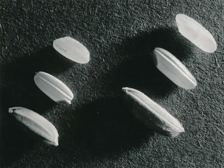  époque v. 1950 nature morte