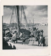 v. 1950 photo photographie pêche