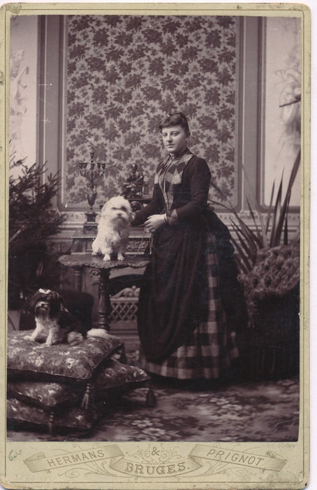  carte cabinet argentique Bruges Hermans Prignot