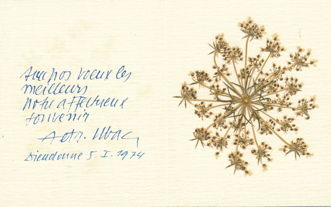 envoi autographe avec fleur séchée
