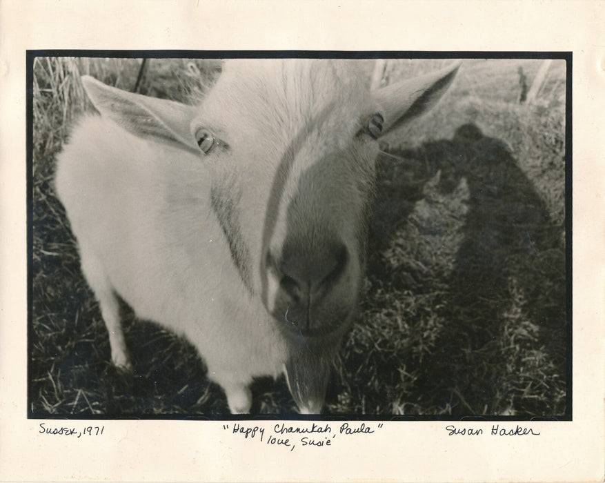 Susan HACKER photographe photo signée dédicacée 1971 argentique