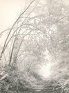 photo photographie époque v. 1960 neige campagne