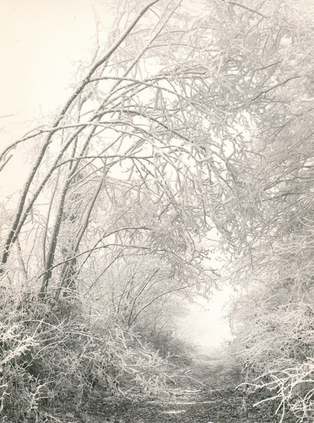 photo photographie époque v. 1960 neige campagne