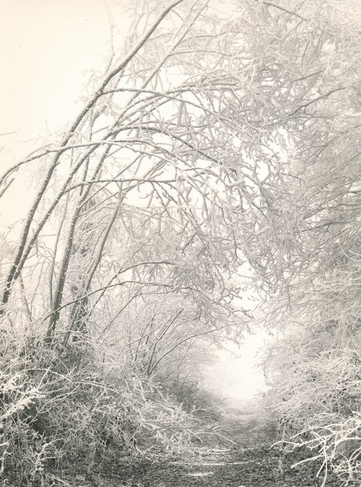 photo photographie époque v. 1960 neige campagne
