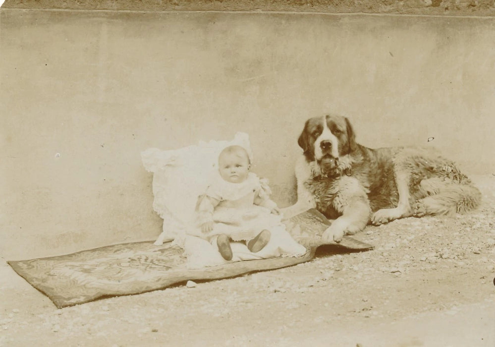 Photographie photo chien et bébé meilleur ami et protecteur animal v. 1900