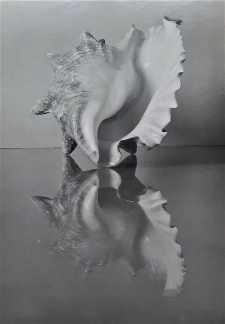 1939 grand tirage photo photographie