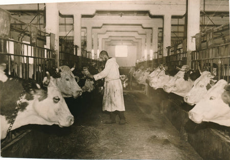 Religion Cîteau abbaye religion 2 photographie argentiques époque travail