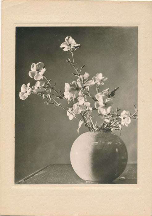 Étude au vase de fleur 1 nature morte c. 1940 photo photographie époque