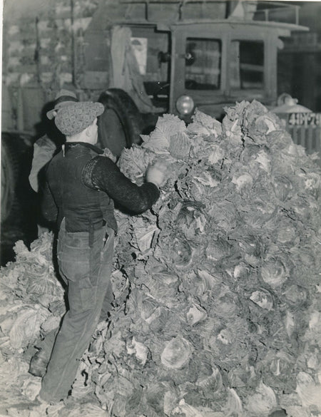 Marché choux tirage argentique époque v. 1950 photo photographie agriculture