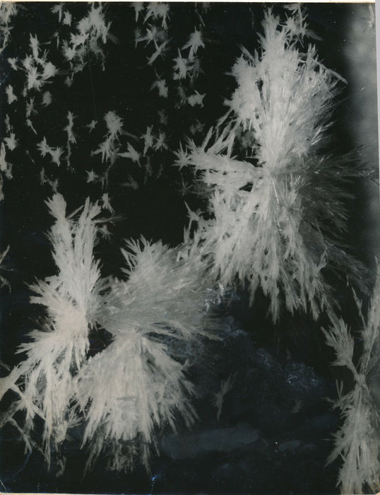 micro photographie tirage argentique époque v. 1947 cristaux