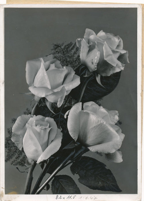 photo argentique époque années 1930