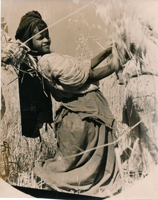  moisson argentique époque cachet
