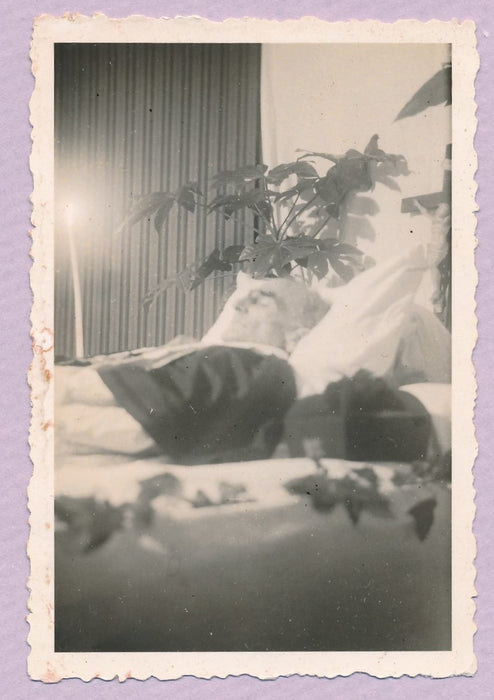 Photographie post-mortem photo snapshot