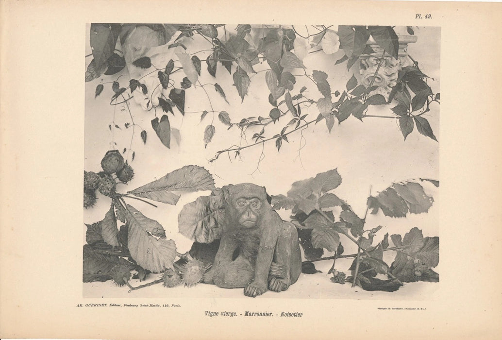 Matériaux et documents d’art décoratif 57 planches imprimées héliotypie fleur v. 1900 Armand Guérinet