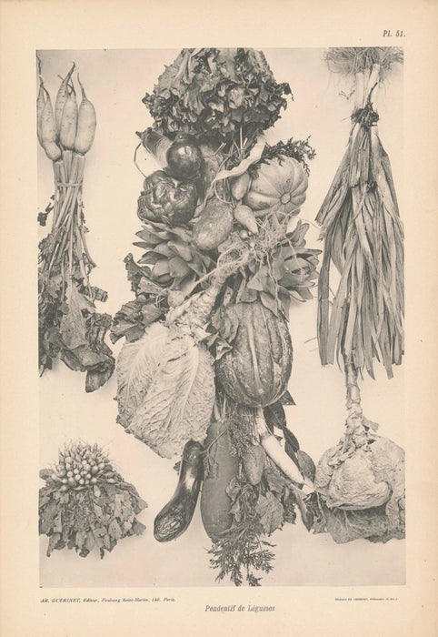 Matériaux et documents d’art décoratif 57 planches imprimées héliotypie fleur v. 1900 Armand Guérinet