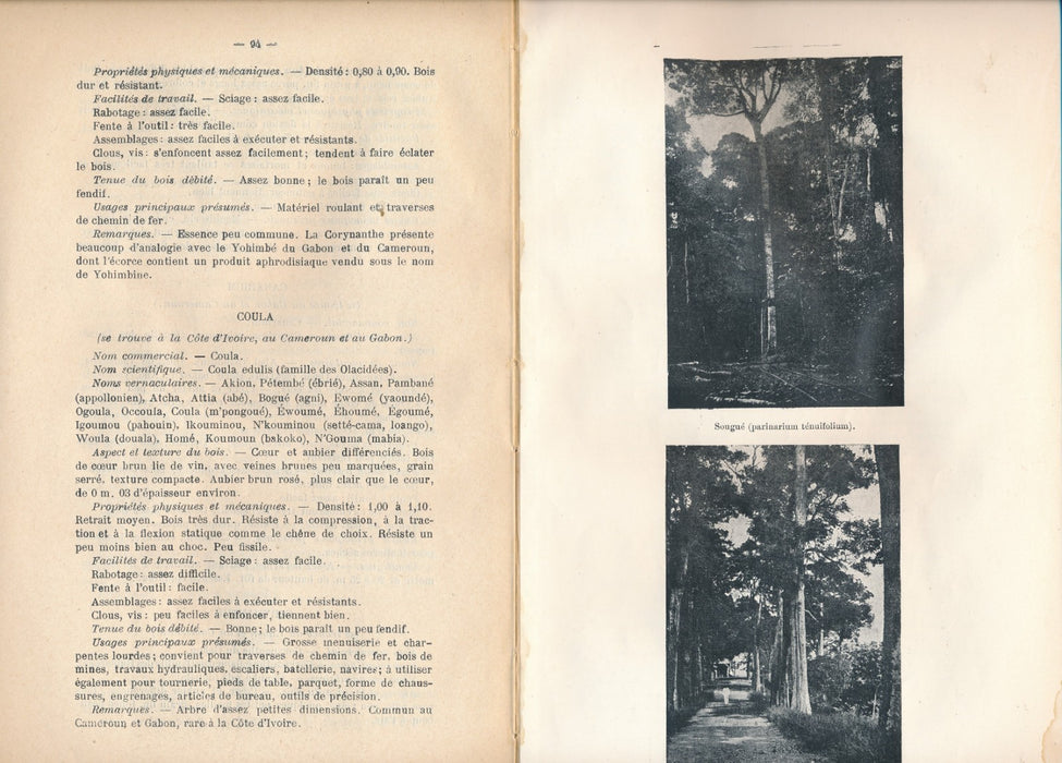 bois coloniaux Afrique dans industrie Jean Meniaud Bretonnet 1936 colonialisme