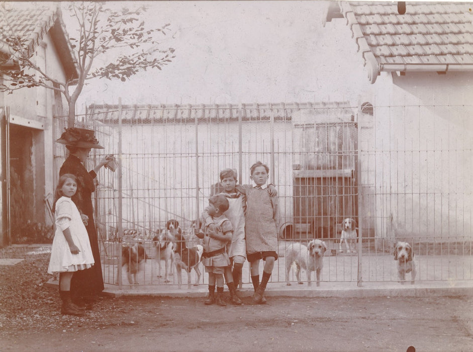 Garçon et chiens en cage famille photo photographie époque v. 1920