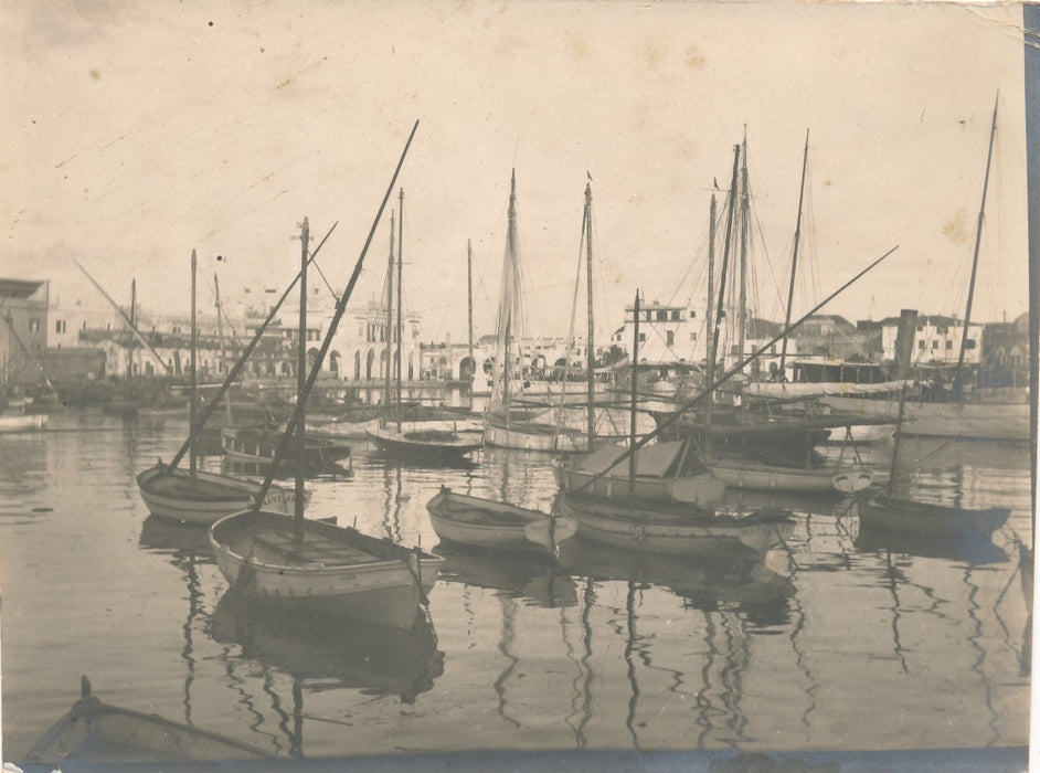 Port Alger vers 1900-1905 6 photo photographie époque