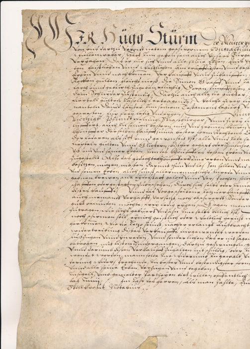 Alsace Charte Strasbourg 1608 Hugo Sturm von... manuscrite