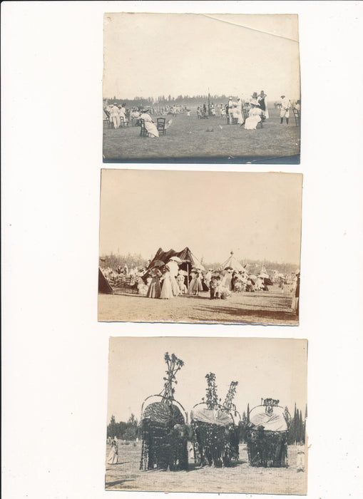 Algérie colonialisme 16 photographies époque panoramique fêtes v. 1900-1905