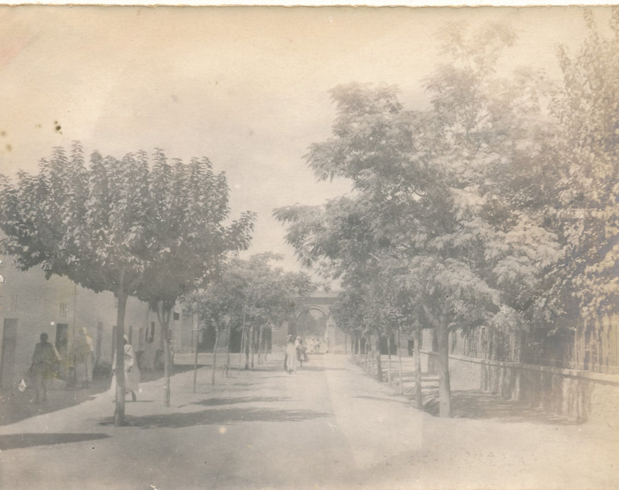 algériens Algérie colonialisme 23 photo photographie amateur intéressant v. 1900