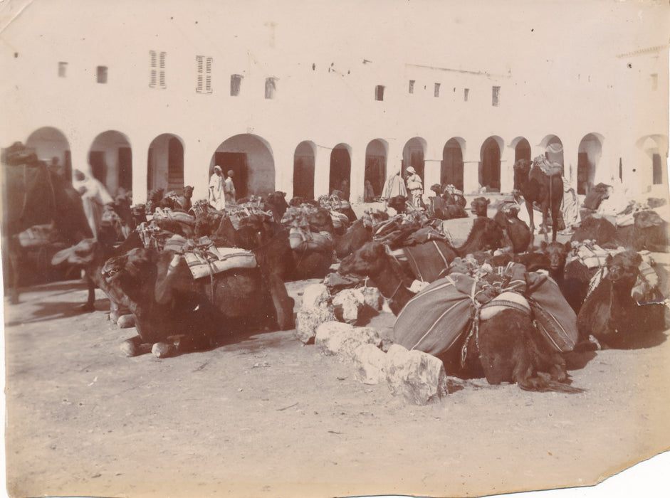 Algérie Ghardaia Algérie 9 photographies époque v. 1900 colonialisme Ghardaïa