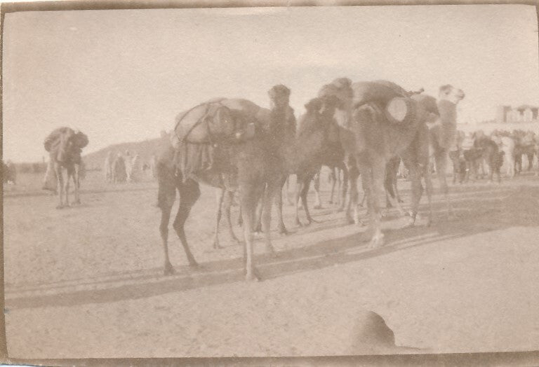 26 photo Maroc militaire protectorat v. 1920 Saheli Takoumit Bouanane Gueldaman