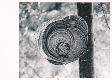 Abstraction vitre paysage photographie argentique époque v. 1960